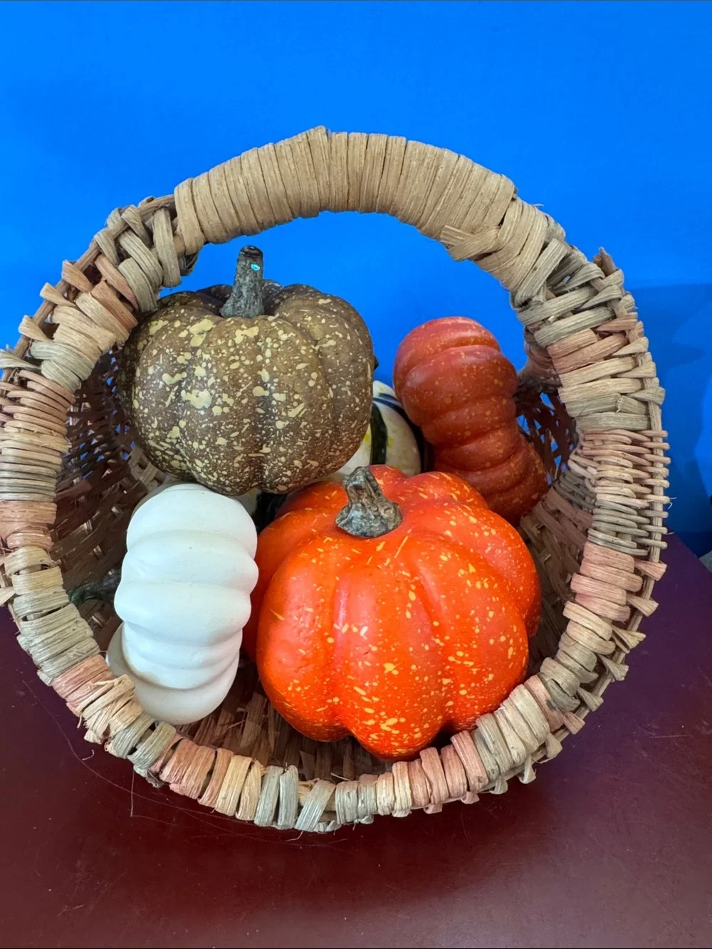 Decorative Woven Basket with Assorted Fall Pumpkins - Natural/Tan